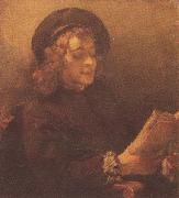 REMBRANDT Harmenszoon van Rijn Titus Reading (mk33) oil painting reproduction